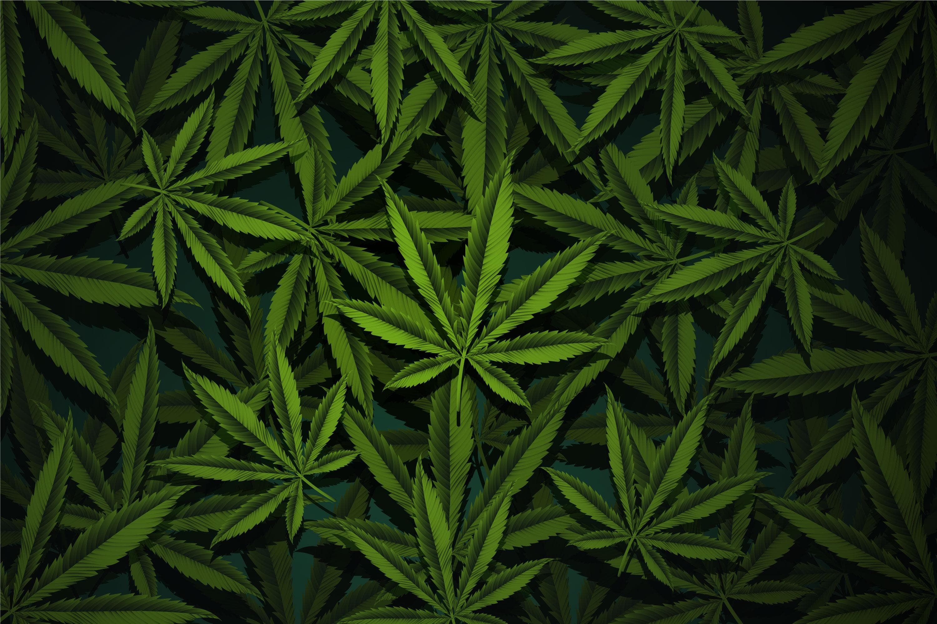 Prod - 1 By Cultivator
