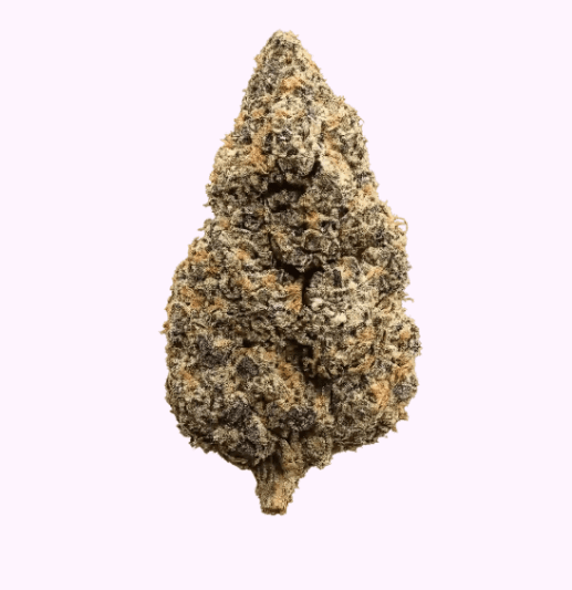 Pop 41 THCa Flower